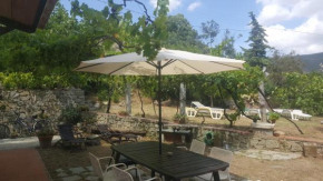I GECHI - MARINA DI CAMPO